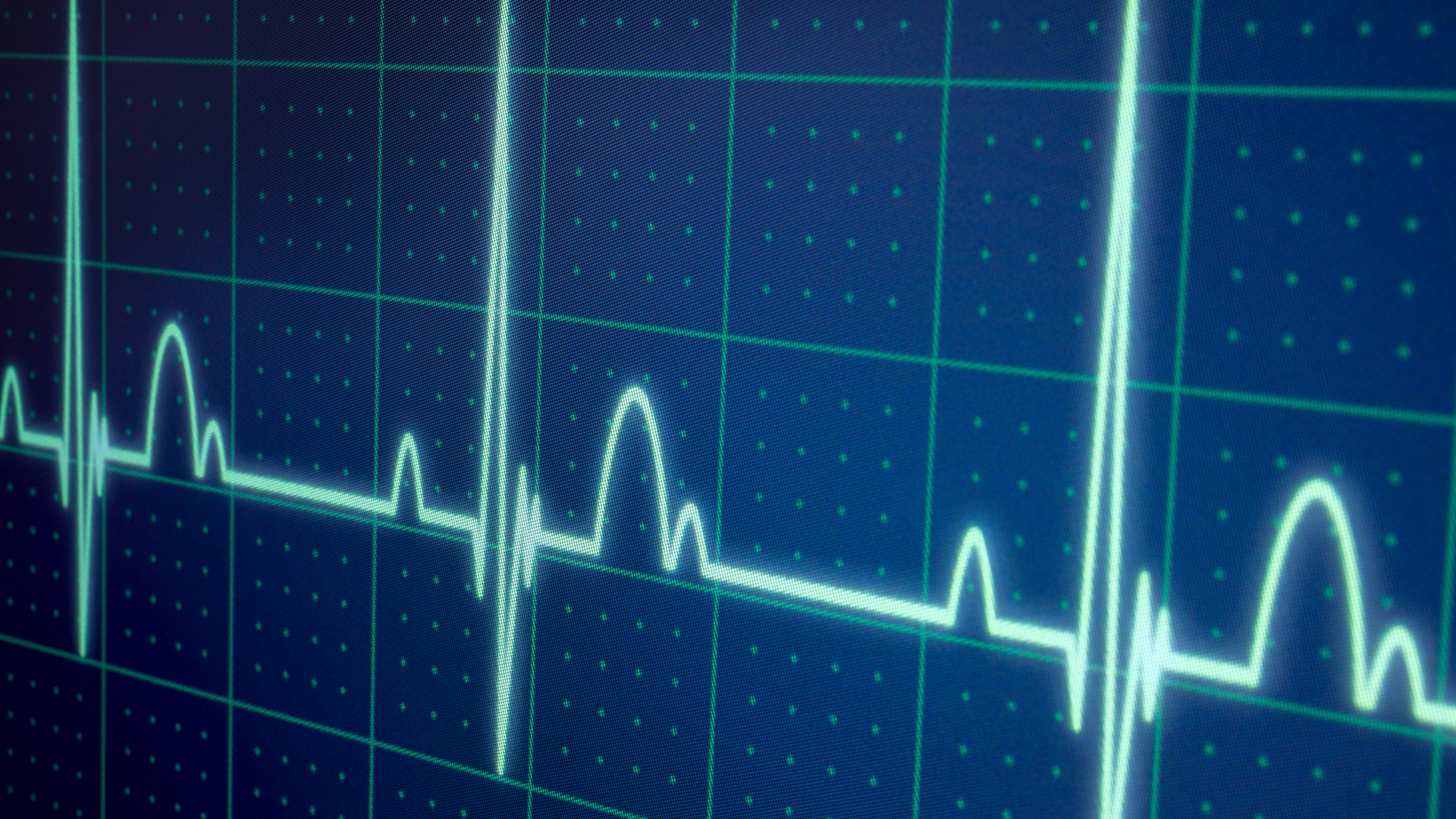 Dreamstime Xxl 51254720 641b0d9eef7e2