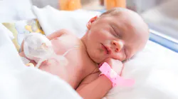 Dreamstime Xxl 57906210
