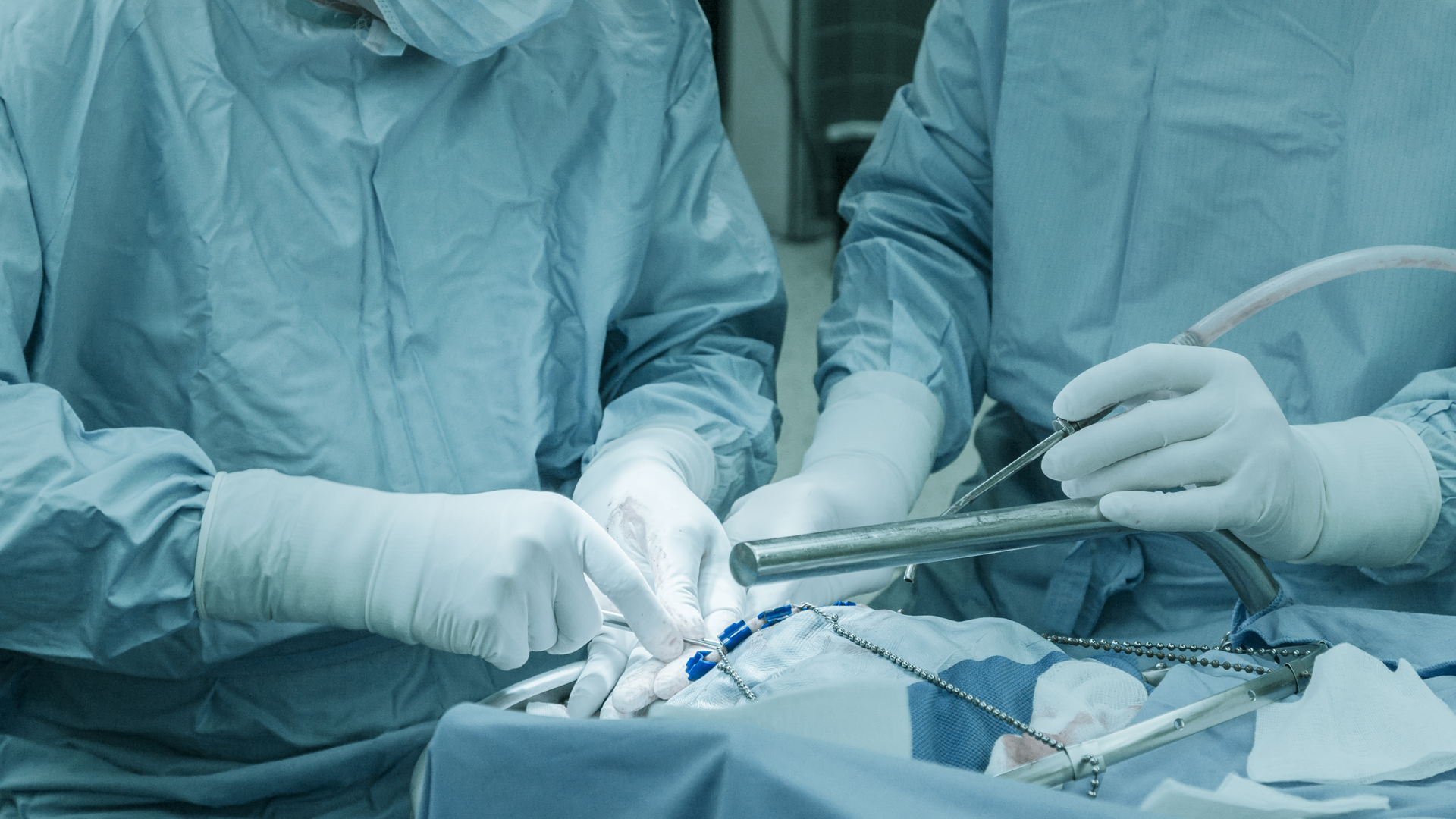 Dreamstime Xxl 63924118 6419b5a8abf8f