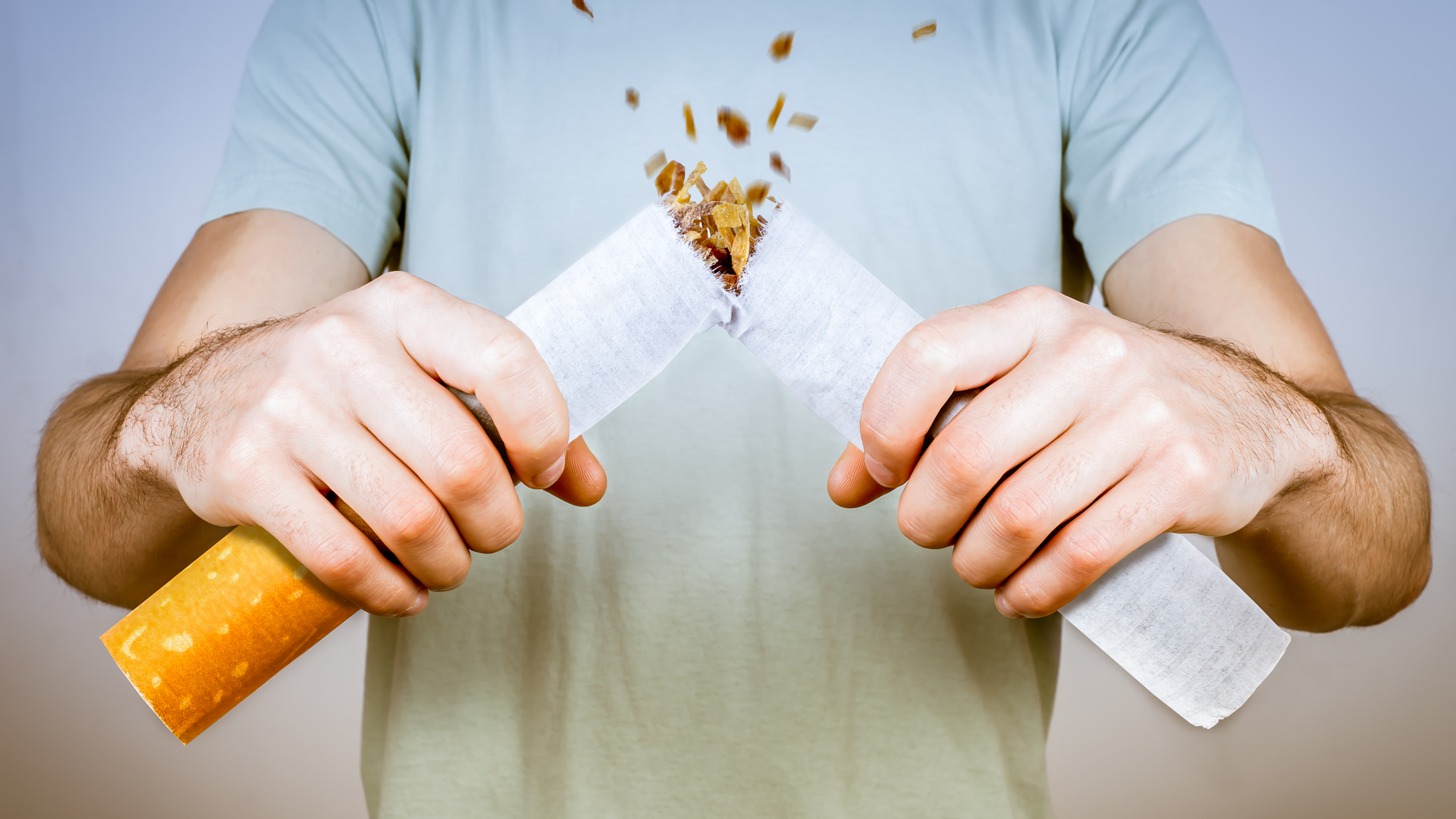 Dreamstime Xxl 80144378 640f232dd8df3