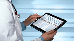 Dreamstime Xxl 88206288 641b06acdd501 Dreamstime Xxl 88206288 641b06acdd501