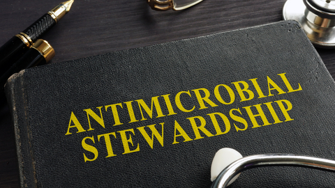 Dreamstime Xs 121802057 643e99131d44f