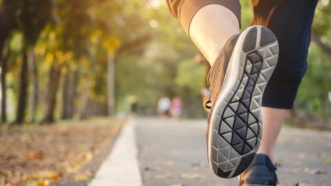 Dreamstime Xs 152096723 64381b8c9103c