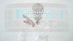 Dreamstime Xs 201333148 64396a260da7e Dreamstime Xs 201333148 64396a260da7e