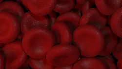 Dreamstime Xxl 206103372 643d55ed10797 Dreamstime Xxl 206103372 643d55ed10797