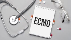 Dreamstime Xxl 219139297 64303f795c219 Dreamstime Xxl 219139297 64303f795c219