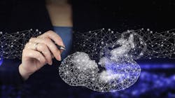 Dreamstime Xxl 236818603 6449264179f0d Dreamstime Xxl 236818603 6449264179f0d