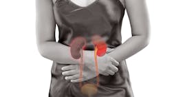 Dreamstime Xxl 97092002 642c2b631fb3f Dreamstime Xxl 97092002 642c2b631fb3f