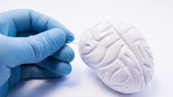 Dreamstime Xxl 115366040 645267b19e112 Dreamstime Xxl 115366040 645267b19e112