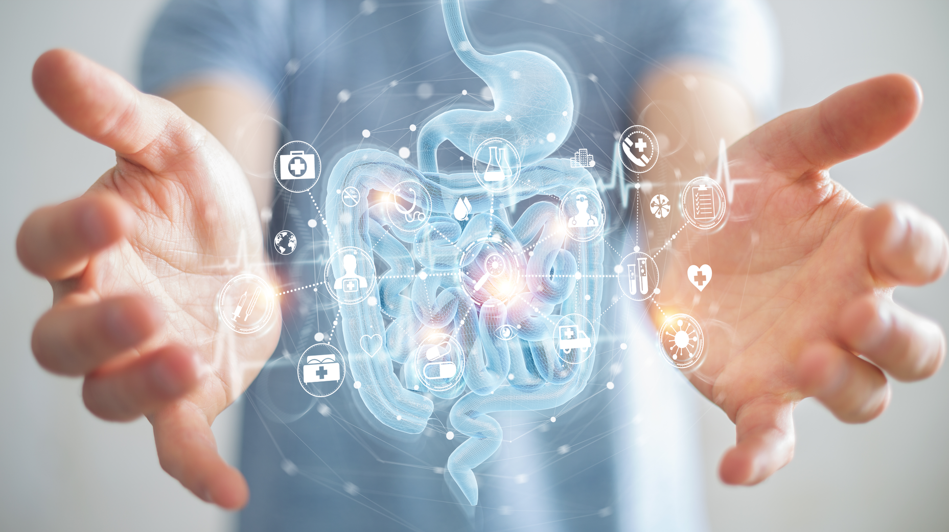 Dreamstime Xxl 176664776 646384f4920b7