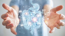 Dreamstime Xxl 176664776 646384f4920b7 Dreamstime Xxl 176664776 646384f4920b7