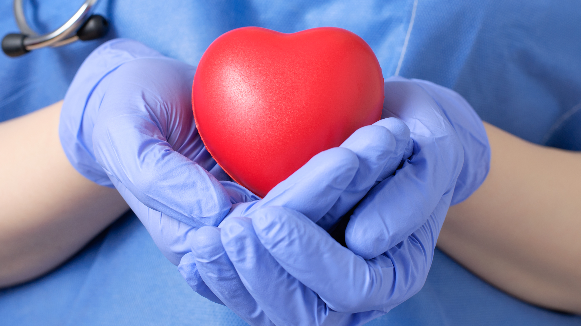 Dreamstime Xxl 52981500 6463870560a50