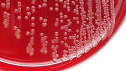 Dreamstime Xxl 68297348 645a4d617b96a Dreamstime Xxl 68297348 645a4d617b96a