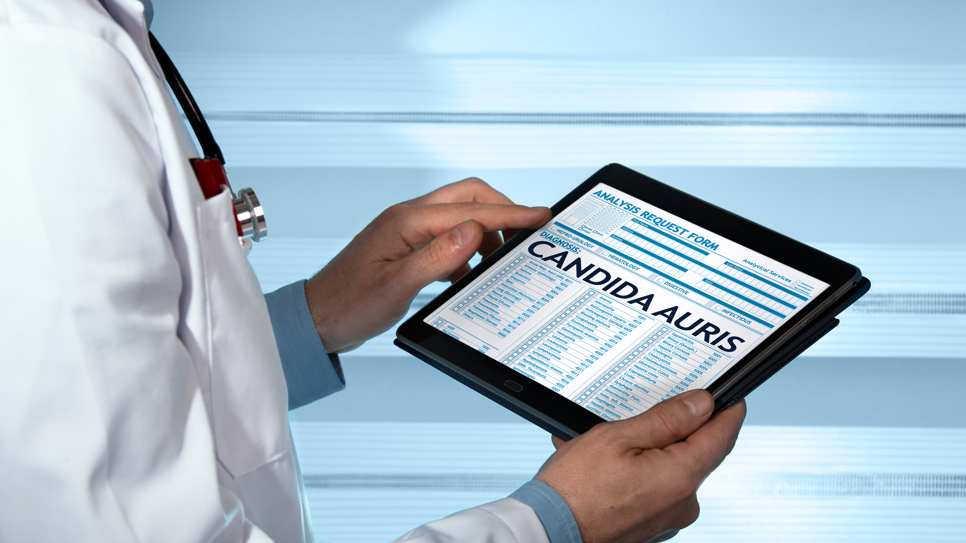 Dreamstime Xxl 88206288 64623a3669ddb