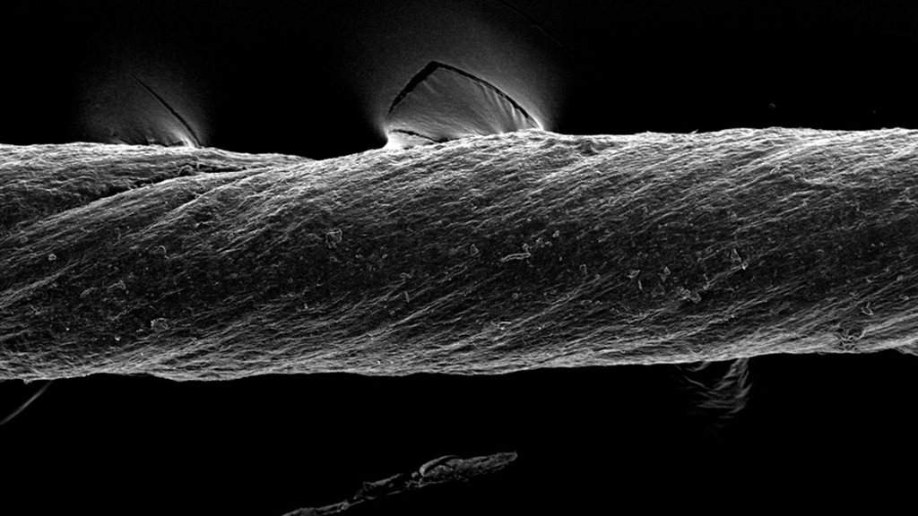 Sdd 294797236 647f379fc45d7