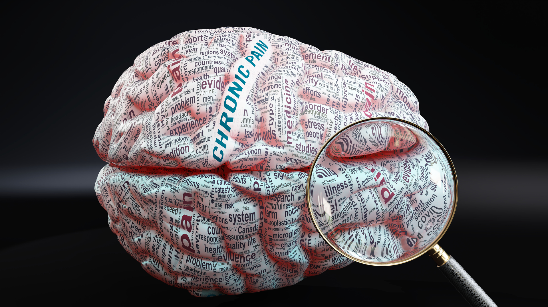 Dreamstime Xxl 247692202 6478a0b1d517e