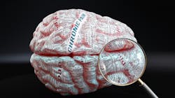 Dreamstime Xxl 247692202 6478a0b1d517e Dreamstime Xxl 247692202 6478a0b1d517e