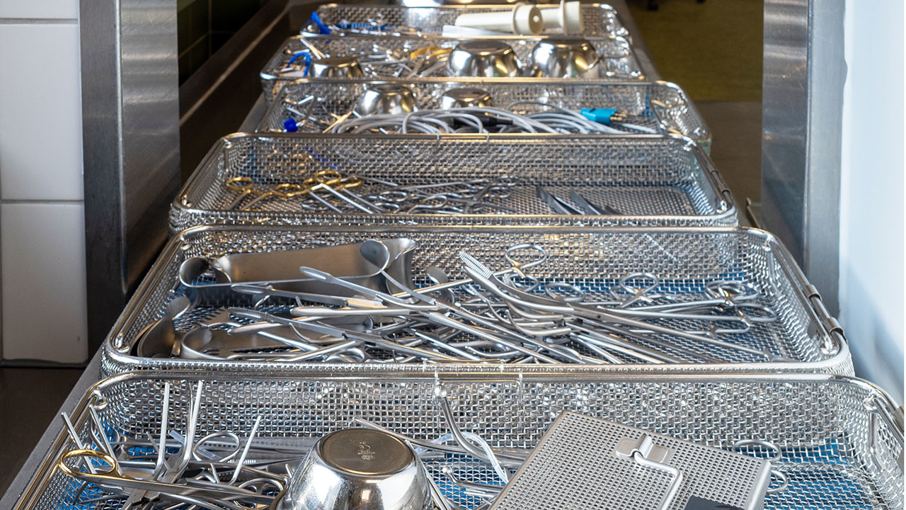 Dreamstime Xxl 246329645 Web