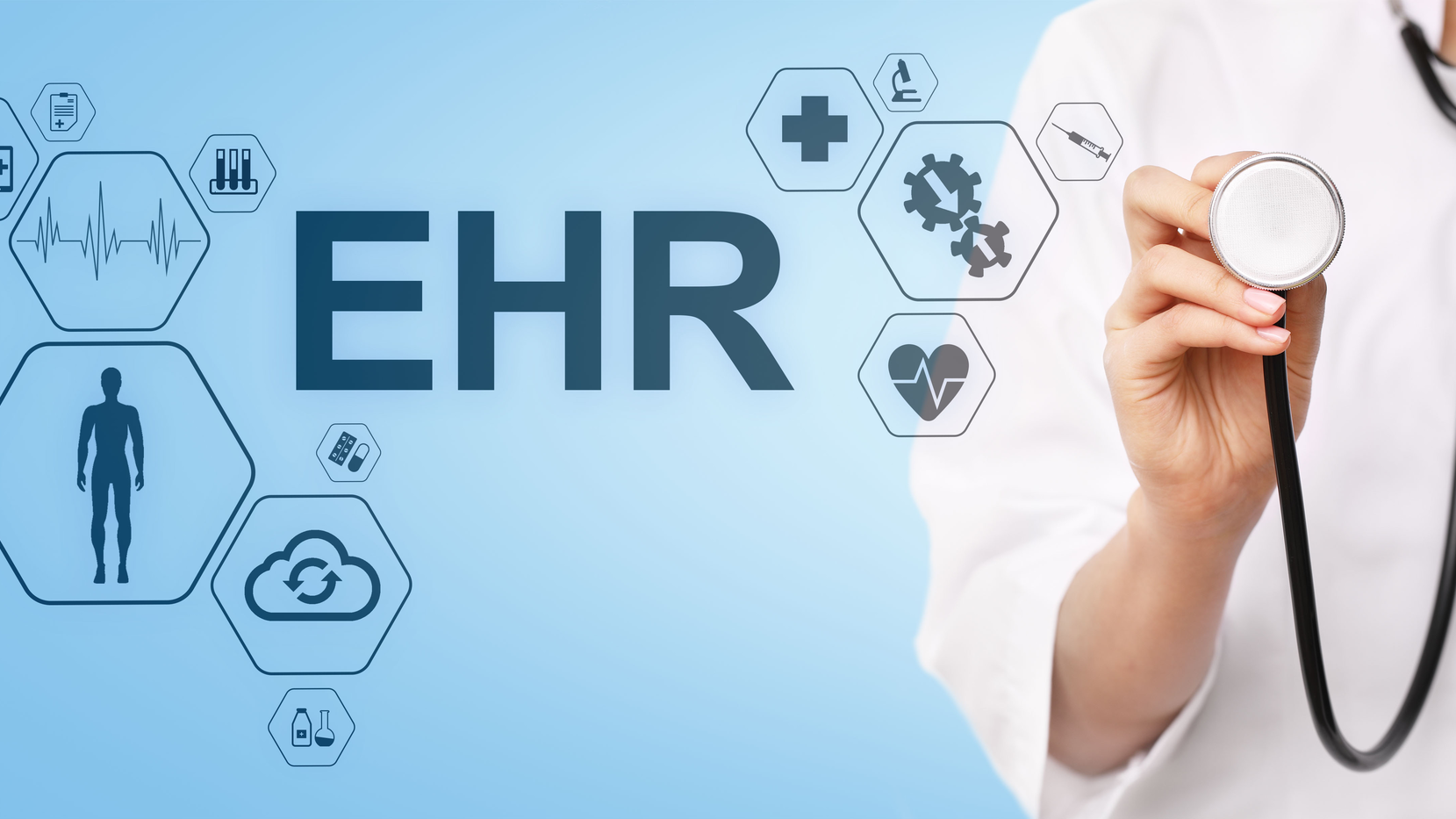 Dreamstime Xxl 146261262 64e53b956759b