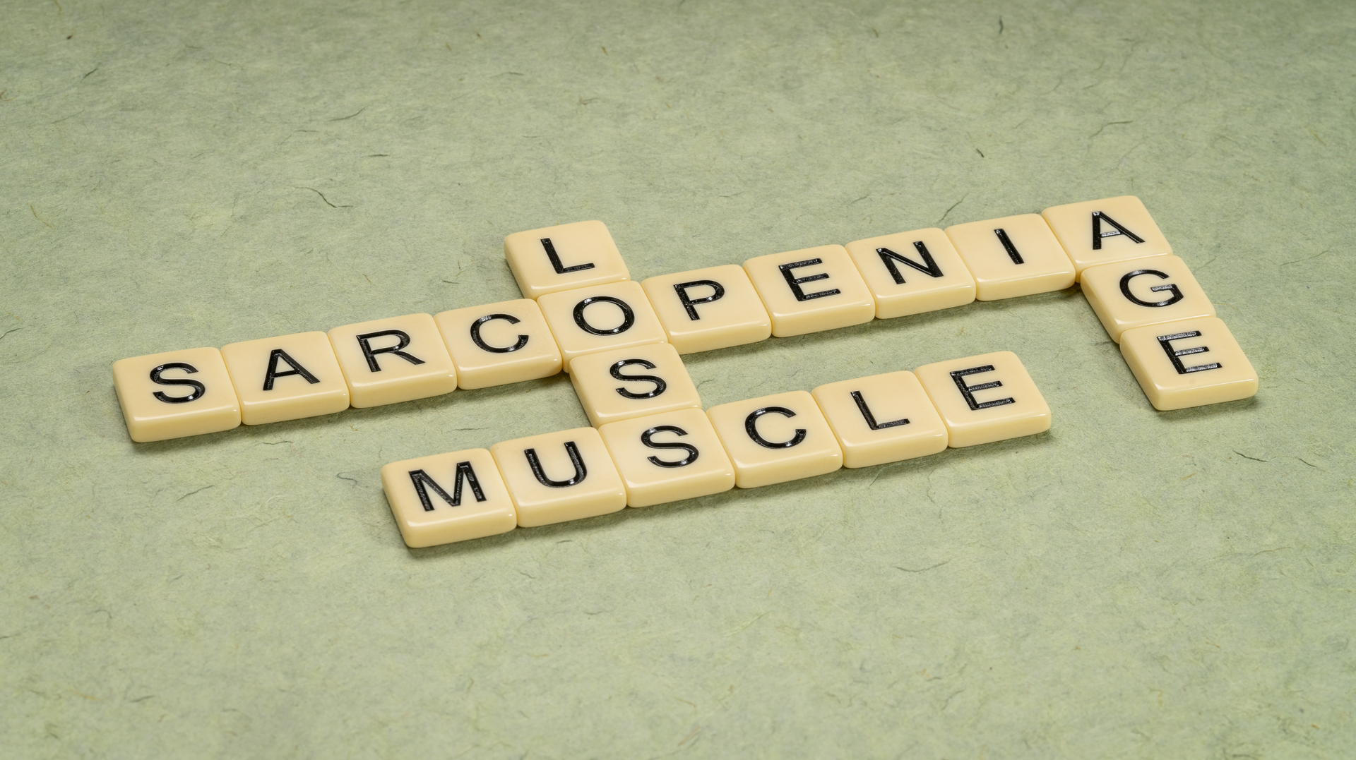 Dreamstime Xxl 261894107 64e793ef6e664