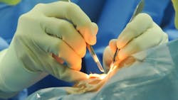 Dreamstime Xxl 38458680 64d3ac09e05df Dreamstime Xxl 38458680 64d3ac09e05df