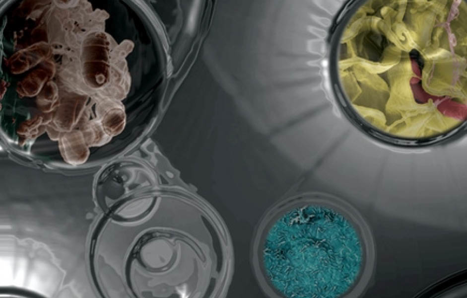 Intro Effective Technologies And Tools December 2022 64df989ed0edd