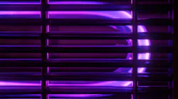 Uv Primary