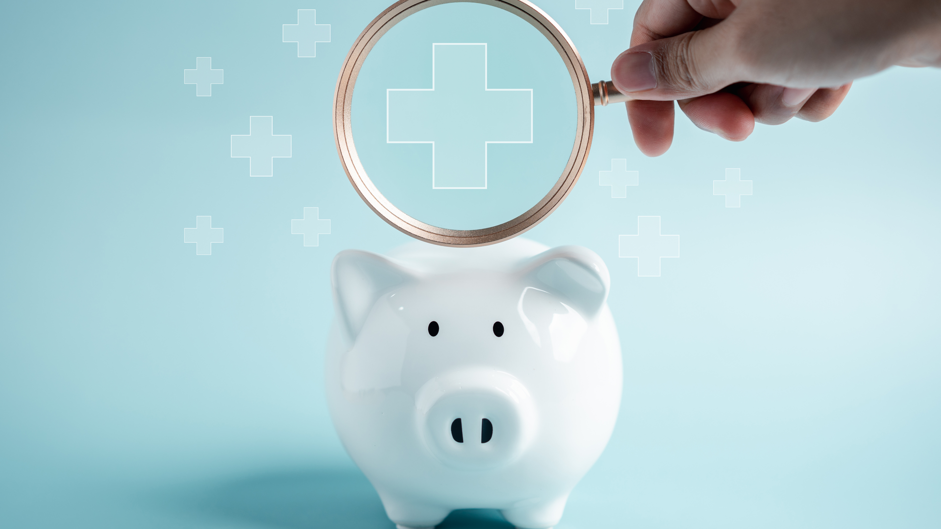 Adobe Stock 576560179