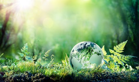 Why Business Leaders Must Resist the Anti-ESG Movement