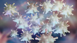 Dreamstime Xxl 134781107