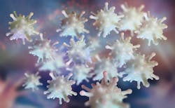 Dreamstime Xxl 134781107 6531806cc8f61 Dreamstime Xxl 134781107 6531806cc8f61