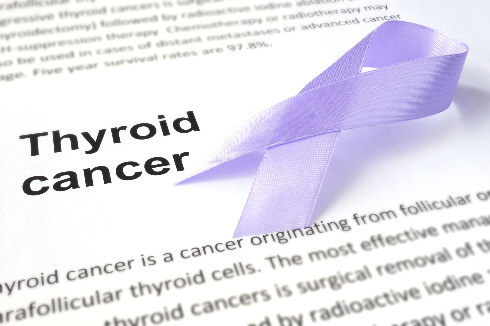 Dreamstime Xxl 50984970 651c629419545