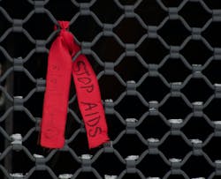 6568d9c40b7755001e2dfdf3 Dreamstime Xxl 3908951 6568d9c40b7755001e2dfdf3 Dreamstime Xxl 3908951