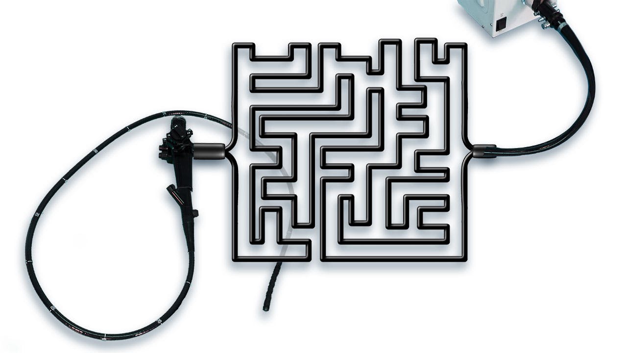 659d61b9af8349001eed85cd Web Ifus