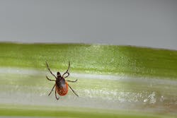 65c2762b9642bc001e912f72 Tick 65c2762b9642bc001e912f72 Tick