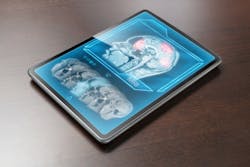 65c3c6c29d95c0001e81d122 Brain 65c3c6c29d95c0001e81d122 Brain