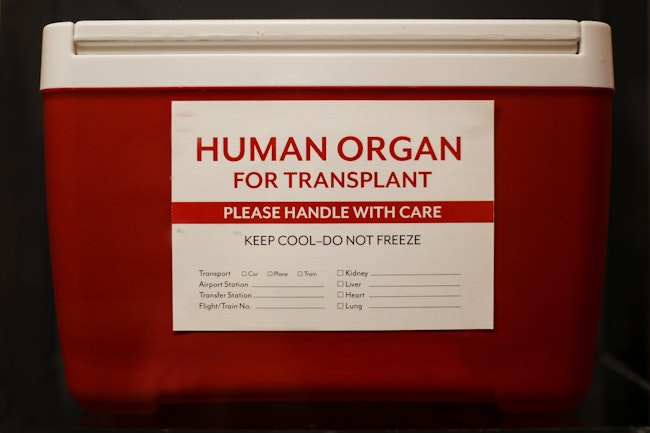 dreamstime_xxl_79060266