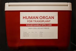 65cbce4dc55c48001e4f6534 Dreamstime Xxl 79060266 65cbce4dc55c48001e4f6534 Dreamstime Xxl 79060266