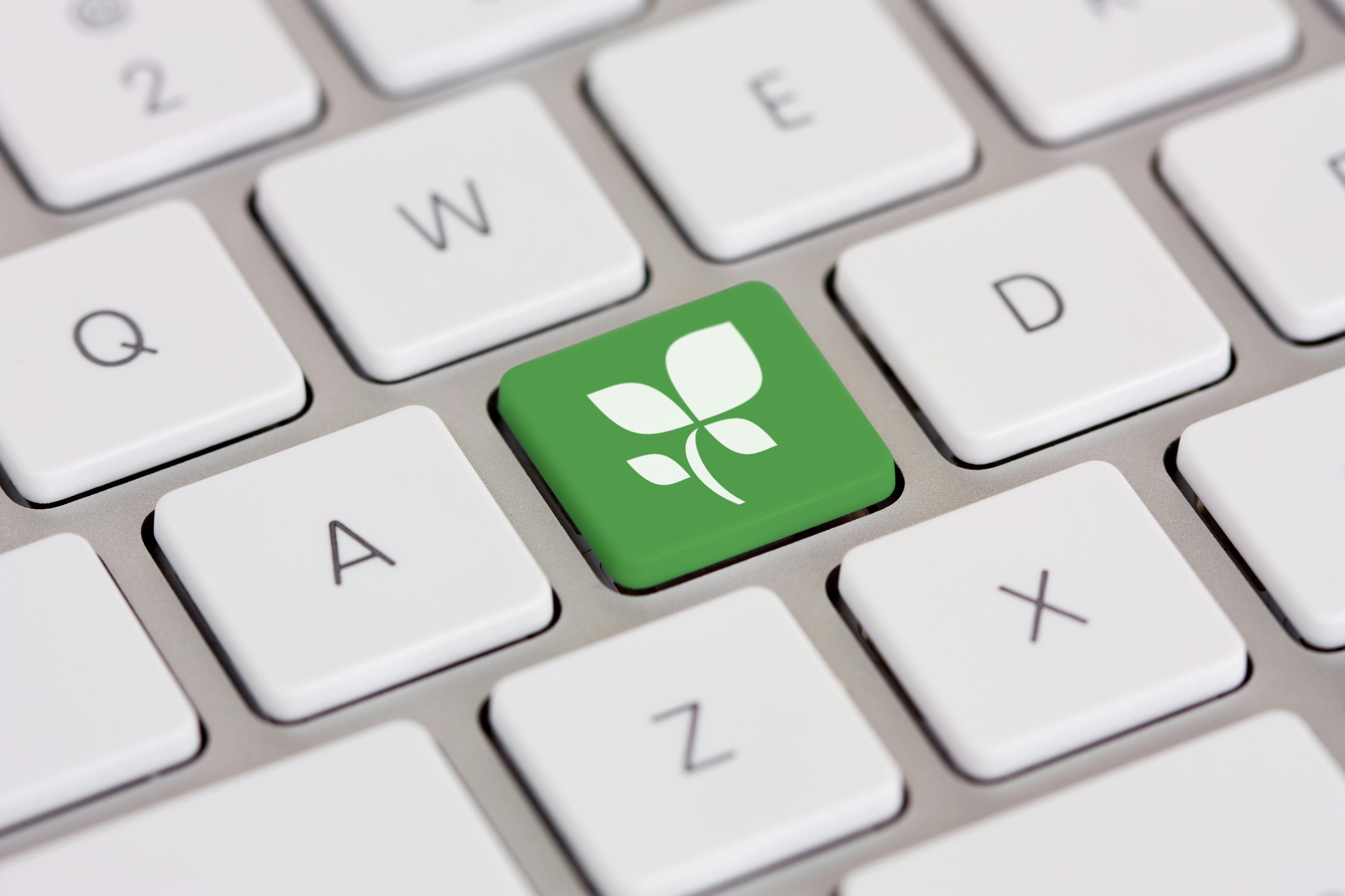 65ea10f19d2524001eecfe92 Dreamstime Xxl 8433634