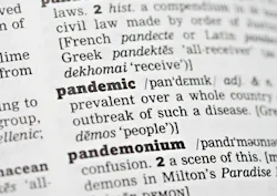 65fdb17cbce6f0001ec2d334 Pandemic