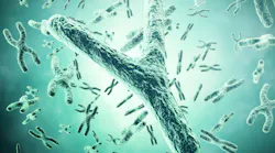 y_chromosome