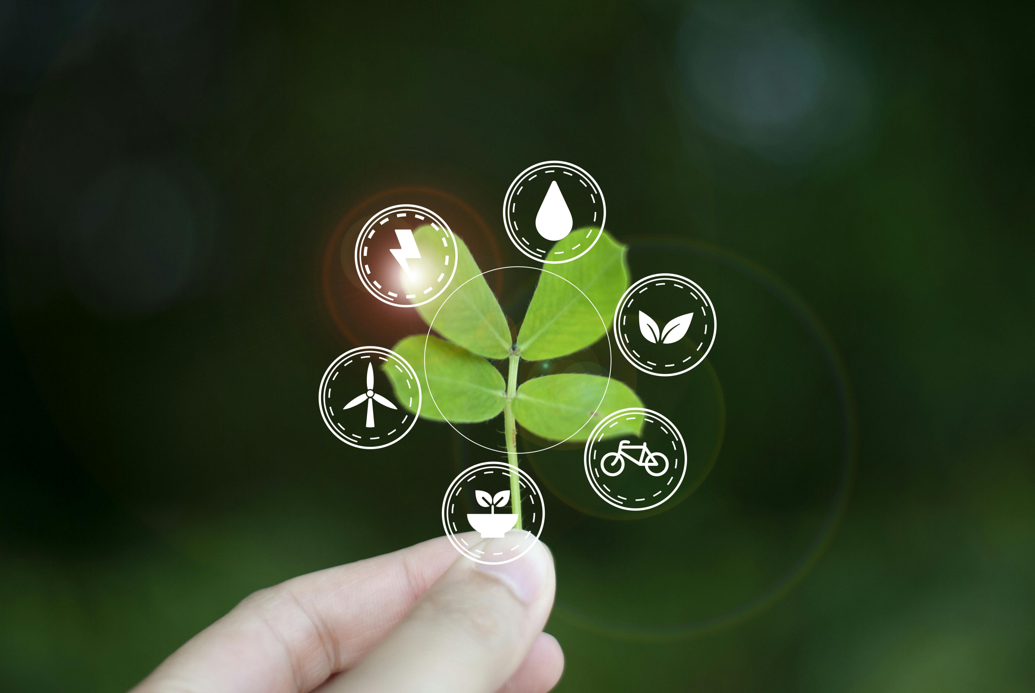 660ae09952e681001edb9717 Sustainability