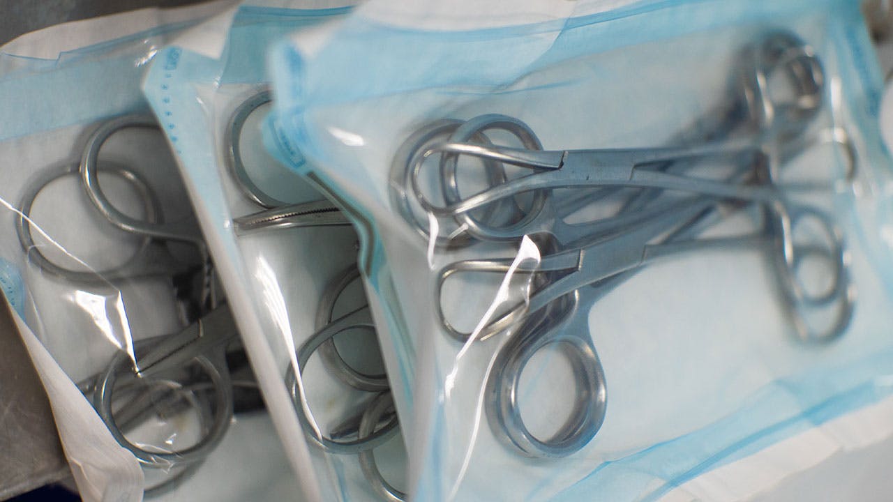 dreamstime_xxl_261278015_cropped