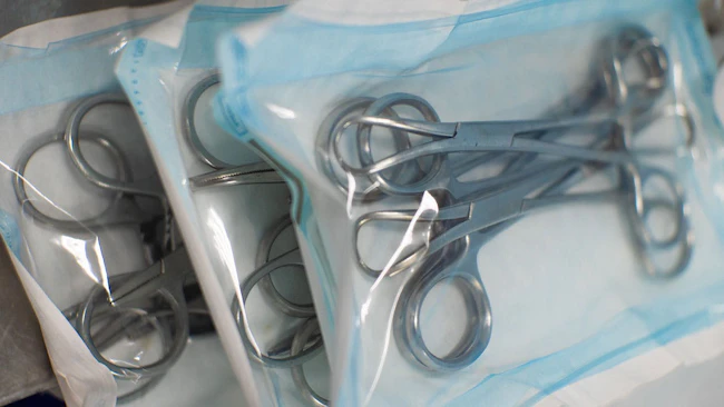 663a3a20965aaf6d34fdf4a3 Dreamstime Xxl 261278015 Cropped