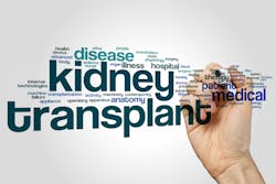 663d19eb314e8113797ce55e Dreamstime Xxl 88648900 663d19eb314e8113797ce55e Dreamstime Xxl 88648900