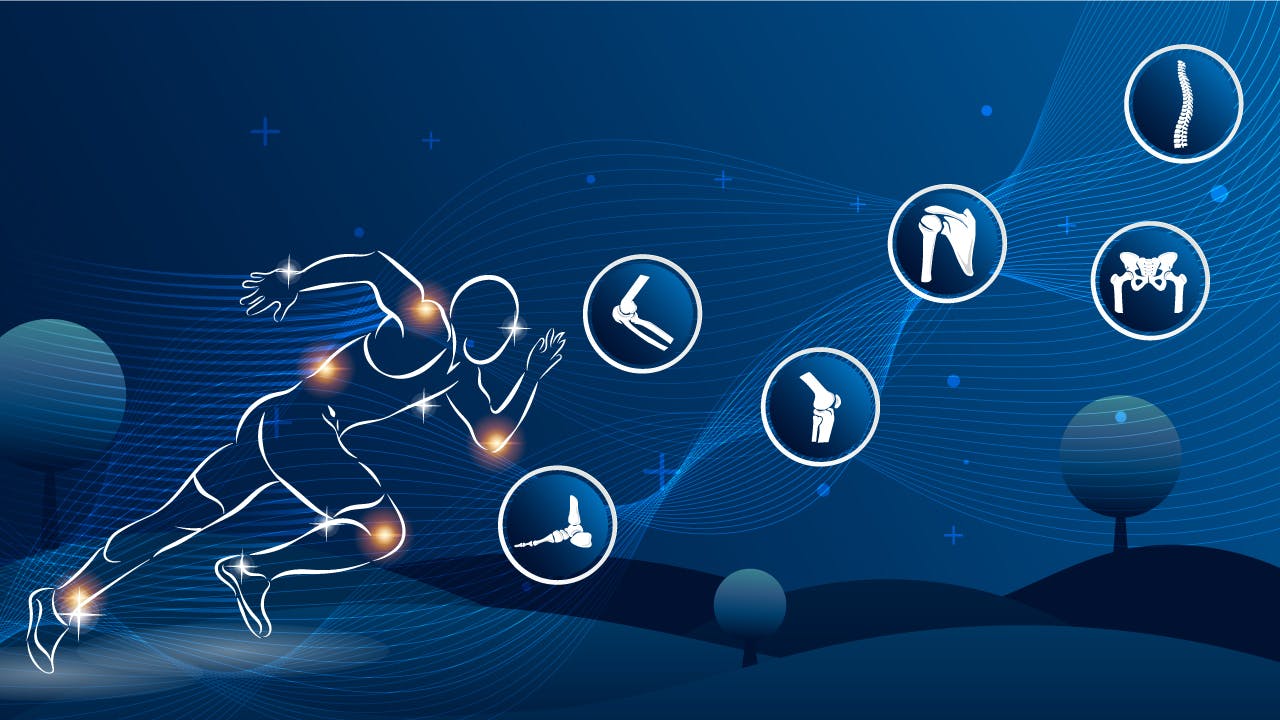 663e27b9e781960558c3ecdd Orthoweb