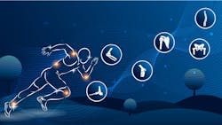 663e27b9e781960558c3ecdd Orthoweb 663e27b9e781960558c3ecdd Orthoweb