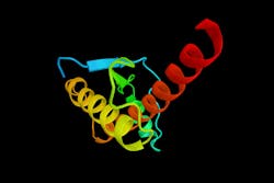 664b7d9a0cff6f6c796563bd Prion 664b7d9a0cff6f6c796563bd Prion