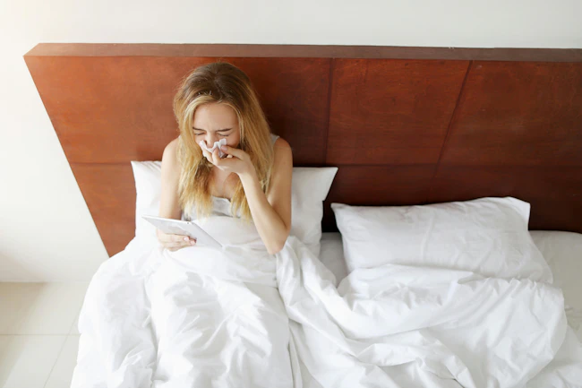 6679ad4b92040f6fbd5a4904 Dreamstime Xxl 109128052