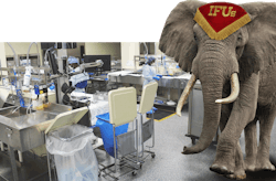 6683173f231238932d0f00d8 Leesarspdelephant2 6683173f231238932d0f00d8 Leesarspdelephant2